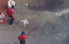 [ Video ] KFC workers washing chicken on a dirty floor