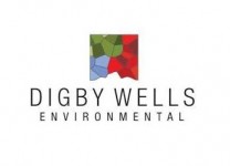 Digby Wells Environmental logo