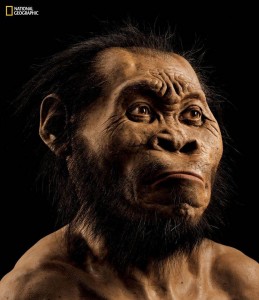 Homo naledi picture