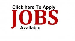 Walala Wasala list of Jobs Closing in (YES Youth Jobs )