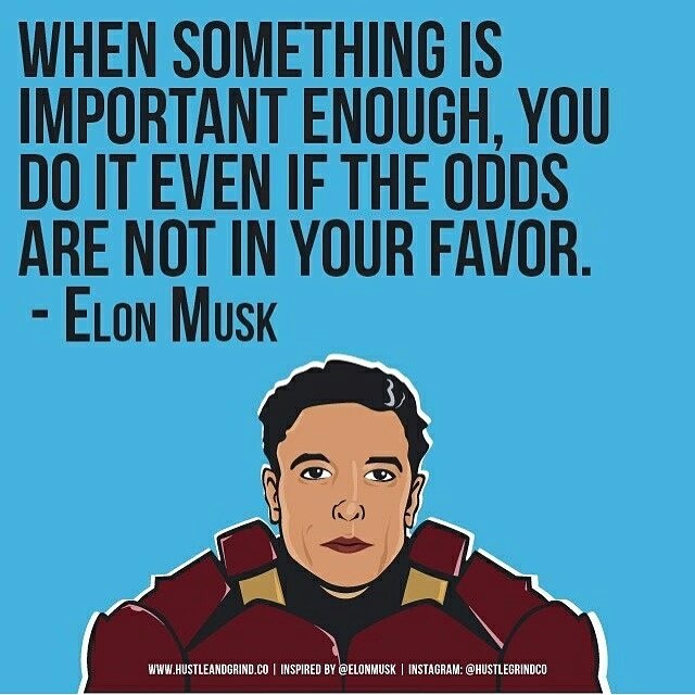 When something is important enough, you do it even if the odds are not in your favor. - Elon Musk