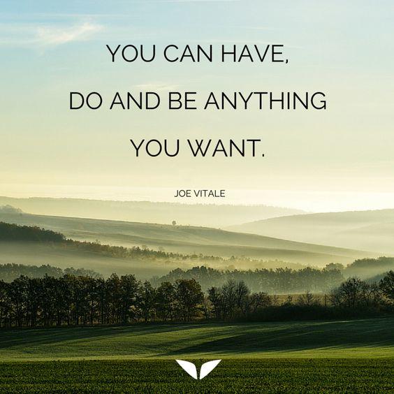 You can have, do and be anything you want. - Joe Vitale