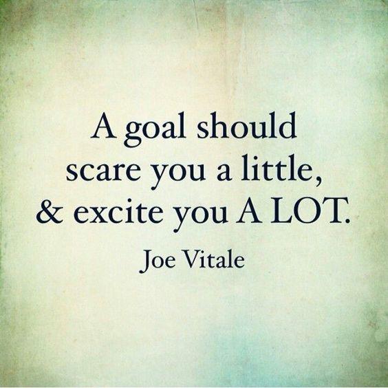 A goal should scare you a little, & excite you a lot. - Joe Vitale