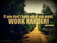 Work Harder