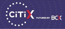 CiTiX 250 students Training & Internship in Software Programming