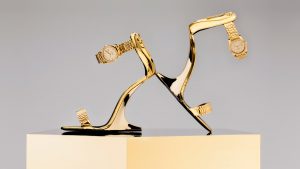 Luxury Shoe