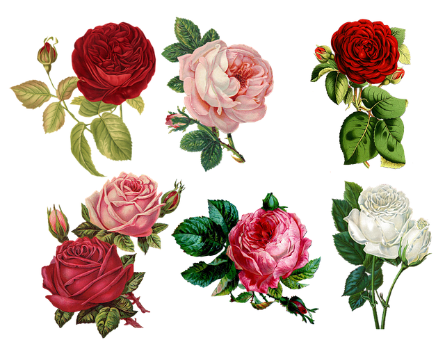 Flowers to Hong Kong