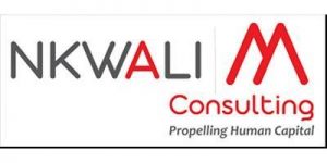 Nkwali M Consulting