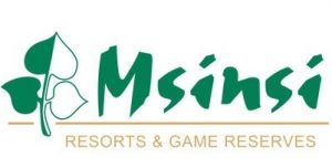 Msinsi Holdings