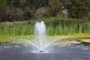 Floating Fountain