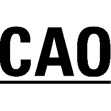CAO Application Status