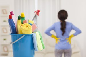 domestic workers