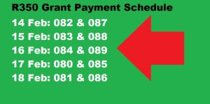 SASSA R350 Grant Payment Schedule For Next Week