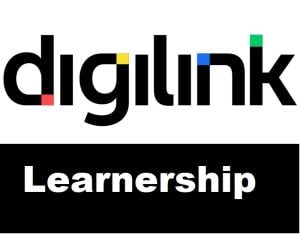 Digilink : 12 month Software Testing Learnership