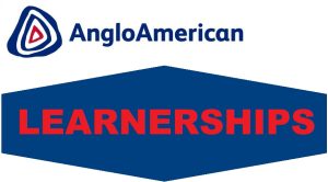 Anglo American: Artisan Learnerships