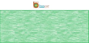 Buscor (Pty) Ltd