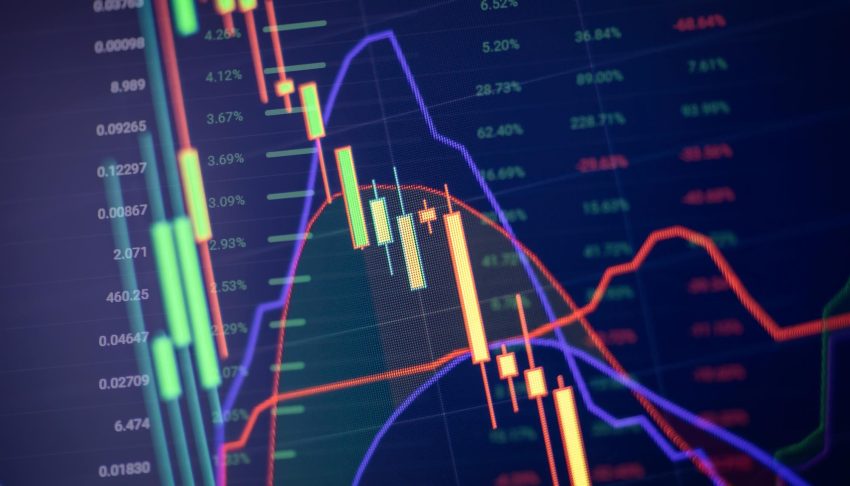 Traders Union Experts
