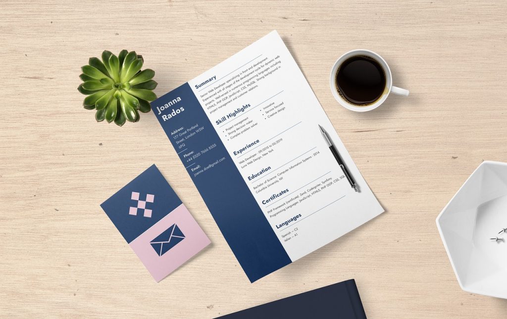 professional CV